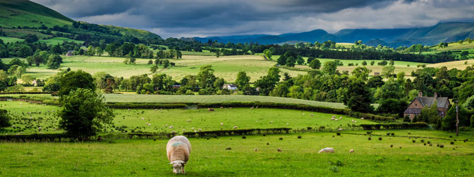 Ireland